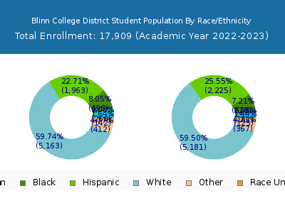 Blinn College District 2023 Student Population by Gender and Race chart