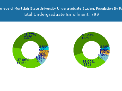 Bloomfield College of Montclair State University 2025 Undergraduate Enrollment by Gender and Race chart