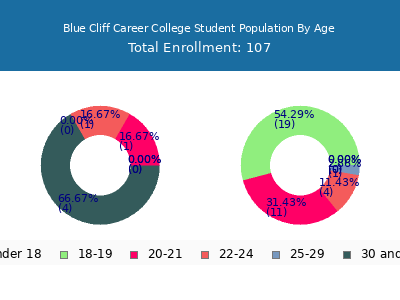 Blue Cliff Career College 2024 Student Population Age Diversity Pie chart