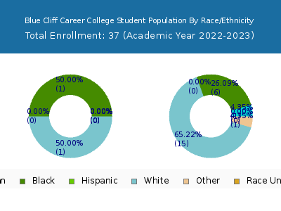 Blue Cliff Career College 2023 Student Population by Gender and Race chart