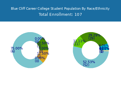 Blue Cliff Career College 2025 Student Population by Gender and Race chart