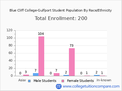 Blue Cliff College-Gulfport 2025 Student Population by Gender and Race chart