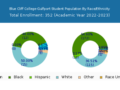 Blue Cliff College-Gulfport 2023 Student Population by Gender and Race chart