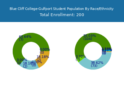 Blue Cliff College-Gulfport 2025 Student Population by Gender and Race chart