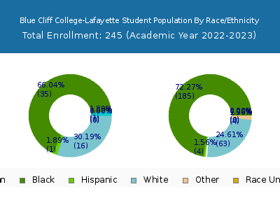 Blue Cliff College-Lafayette 2023 Student Population by Gender and Race chart