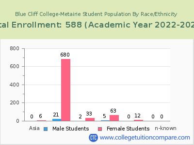 Blue Cliff College-Metairie 2023 Student Population by Gender and Race chart