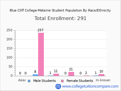 Blue Cliff College-Metairie 2025 Student Population by Gender and Race chart