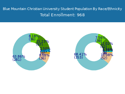 Blue Mountain Christian University 2025 Student Population by Gender and Race chart