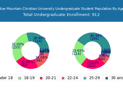 Blue Mountain Christian University 2025 Undergraduate Enrollment Age Diversity Pie chart