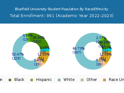 Bluefield University 2023 Student Population by Gender and Race chart