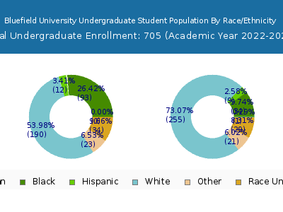 Bluefield University 2023 Undergraduate Enrollment by Gender and Race chart