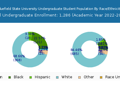 Bluefield State University 2023 Undergraduate Enrollment by Gender and Race chart