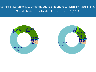 Bluefield State University 2025 Undergraduate Enrollment by Gender and Race chart