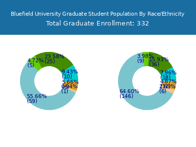 Bluefield University 2025 Graduate Enrollment by Gender and Race chart