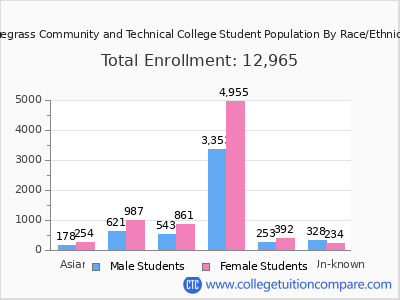 Bluegrass Community and Technical College 2025 Student Population by Gender and Race chart