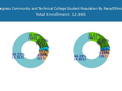 Bluegrass Community and Technical College 2025 Student Population by Gender and Race chart