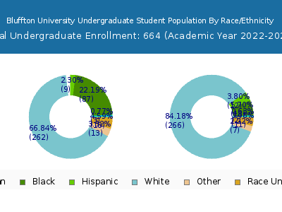 Bluffton University 2023 Undergraduate Enrollment by Gender and Race chart