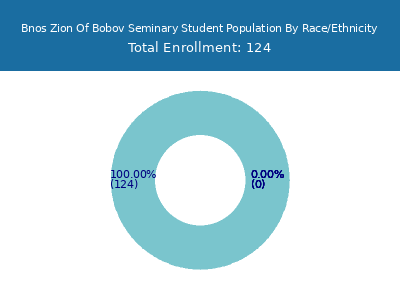 Bnos Zion Of Bobov Seminary 2025 Student Population by Gender and Race chart