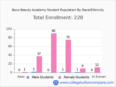 Boca Beauty Academy 2025 Student Population by Gender and Race chart