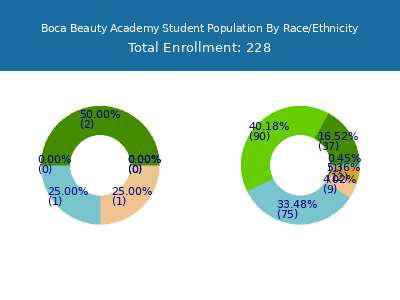Boca Beauty Academy 2025 Student Population by Gender and Race chart