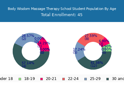 Body Wisdom Massage Therapy School 2024 Student Population Age Diversity Pie chart