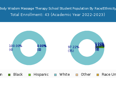 Body Wisdom Massage Therapy School 2023 Student Population by Gender and Race chart