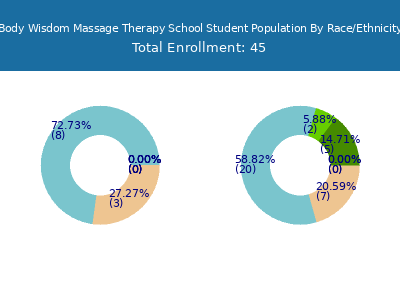 Body Wisdom Massage Therapy School 2025 Student Population by Gender and Race chart
