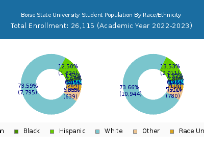 Boise State University 2023 Student Population by Gender and Race chart