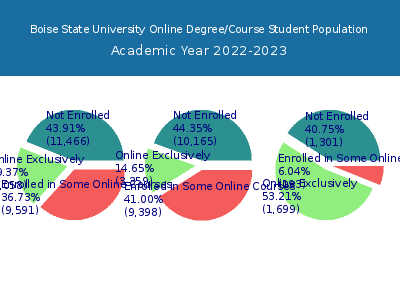 Boise State University 2023 Online Student Population chart