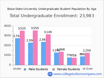Boise State University 2025 Undergraduate Enrollment by Age chart