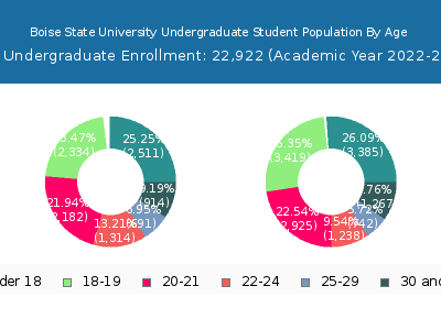Boise State University 2023 Undergraduate Enrollment Age Diversity Pie chart