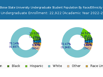 Boise State University 2023 Undergraduate Enrollment by Gender and Race chart