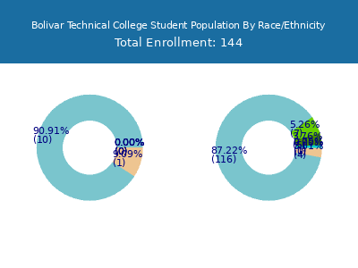 Bolivar Technical College 2025 Student Population by Gender and Race chart