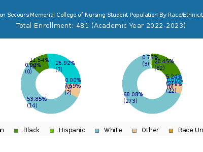 Bon Secours Memorial College of Nursing 2023 Student Population by Gender and Race chart