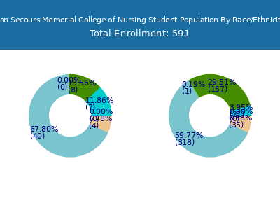 Bon Secours Memorial College of Nursing 2025 Student Population by Gender and Race chart