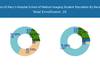 Bon Secours St Mary's Hospital School of Medical Imaging 2025 Student Population by Gender and Race chart