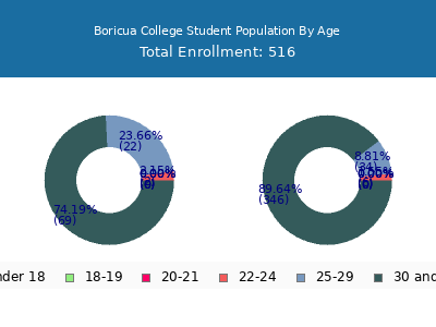 Boricua College 2024 Student Population Age Diversity Pie chart