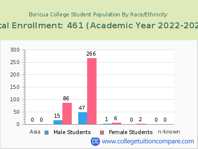 Boricua College 2023 Student Population by Gender and Race chart