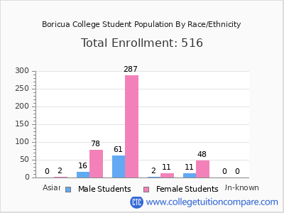 Boricua College 2025 Student Population by Gender and Race chart