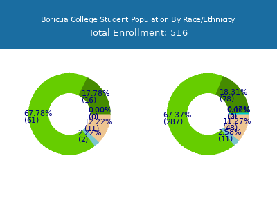 Boricua College 2025 Student Population by Gender and Race chart