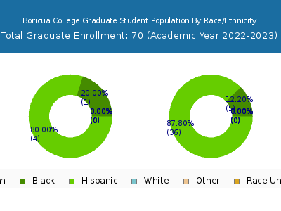 Boricua College 2023 Graduate Enrollment by Gender and Race chart