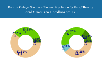 Boricua College 2025 Graduate Enrollment by Gender and Race chart