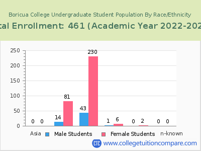 Boricua College 2023 Undergraduate Enrollment by Gender and Race chart