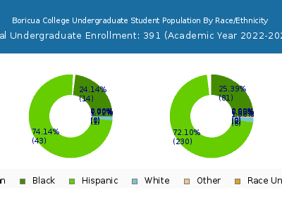Boricua College 2023 Undergraduate Enrollment by Gender and Race chart