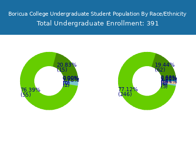 Boricua College 2025 Undergraduate Enrollment by Gender and Race chart