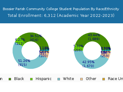 Bossier Parish Community College 2023 Student Population by Gender and Race chart
