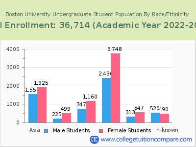 Boston University 2023 Undergraduate Enrollment by Gender and Race chart