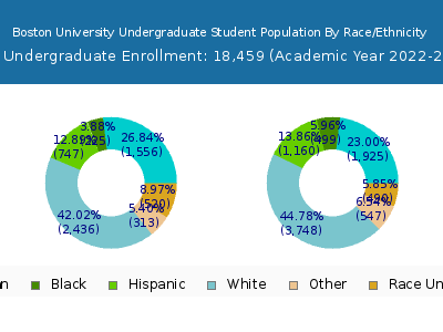 Boston University 2023 Undergraduate Enrollment by Gender and Race chart