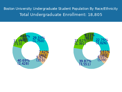 Boston University 2025 Undergraduate Enrollment by Gender and Race chart