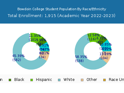 Bowdoin College 2023 Student Population by Gender and Race chart